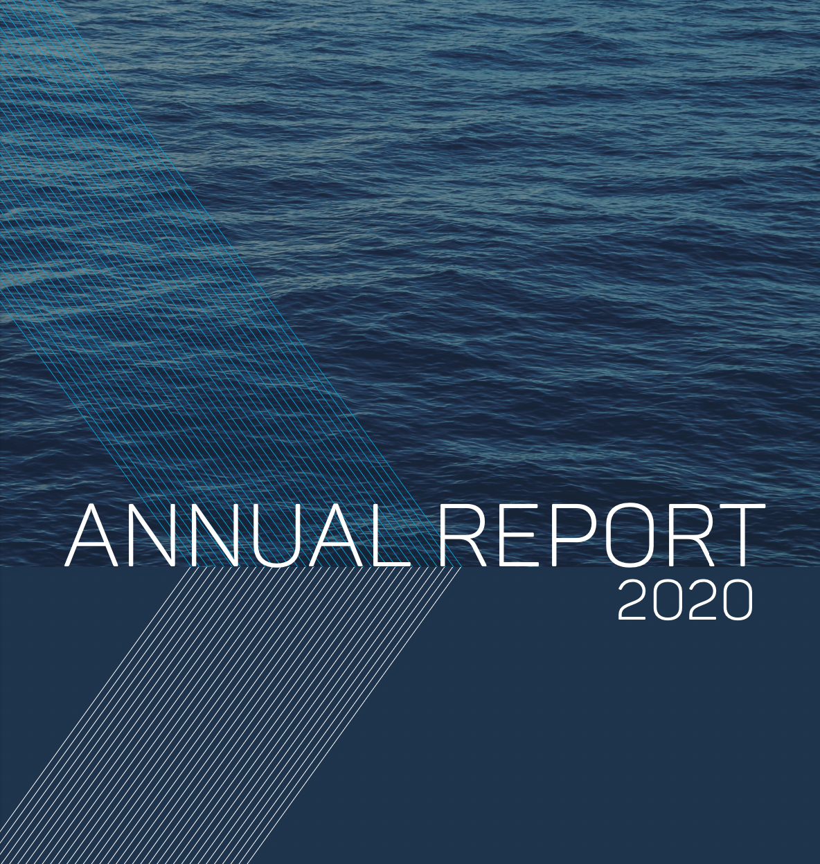 VEEM 2020 Annual Report